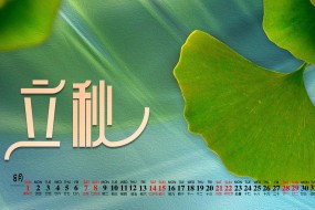 2021年8月立秋电脑日历壁纸