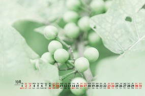 2021年10月护眼绿植风景桌面日历壁纸