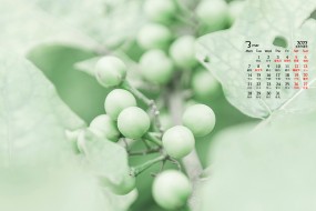 2022年3月护眼绿植风景桌面日历壁纸