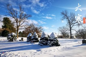 24节气大寒雪景图片高清桌面壁纸