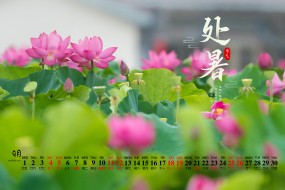 2021年9月节气处暑桌面日历壁纸