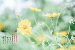 2022年4月绿叶花卉蓝天桌面日历壁纸