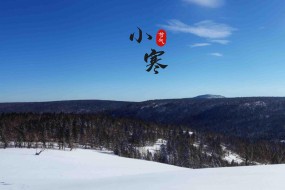 节气小寒之雪景图片桌面壁纸