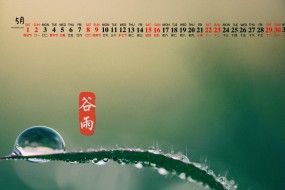 2020年5月谷雨清新绿色护眼日历壁纸