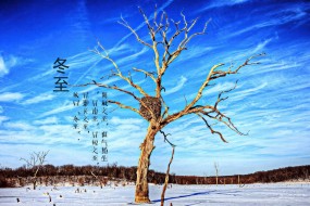 冬至节气唯美雪景高清桌面壁纸