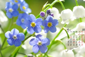 2022年4月素净淡雅花卉植物日历壁纸